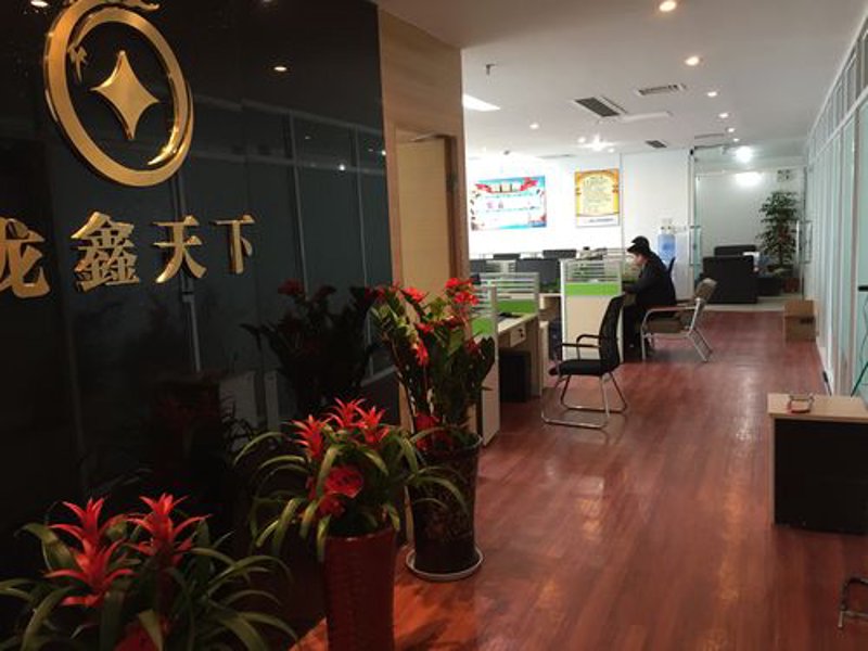 项目融资顾问：搭建资金与机遇的桥梁